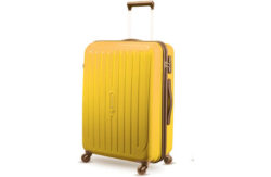 Carlton Phoenix Medium 4 Wheel Spinner Case - Yellow